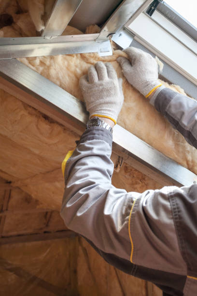 Best Specialized Insulation Services in Great Falls, MT