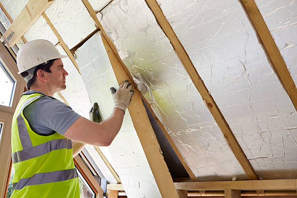 Best Insulation Maintenance and Repair in Great Falls, MT